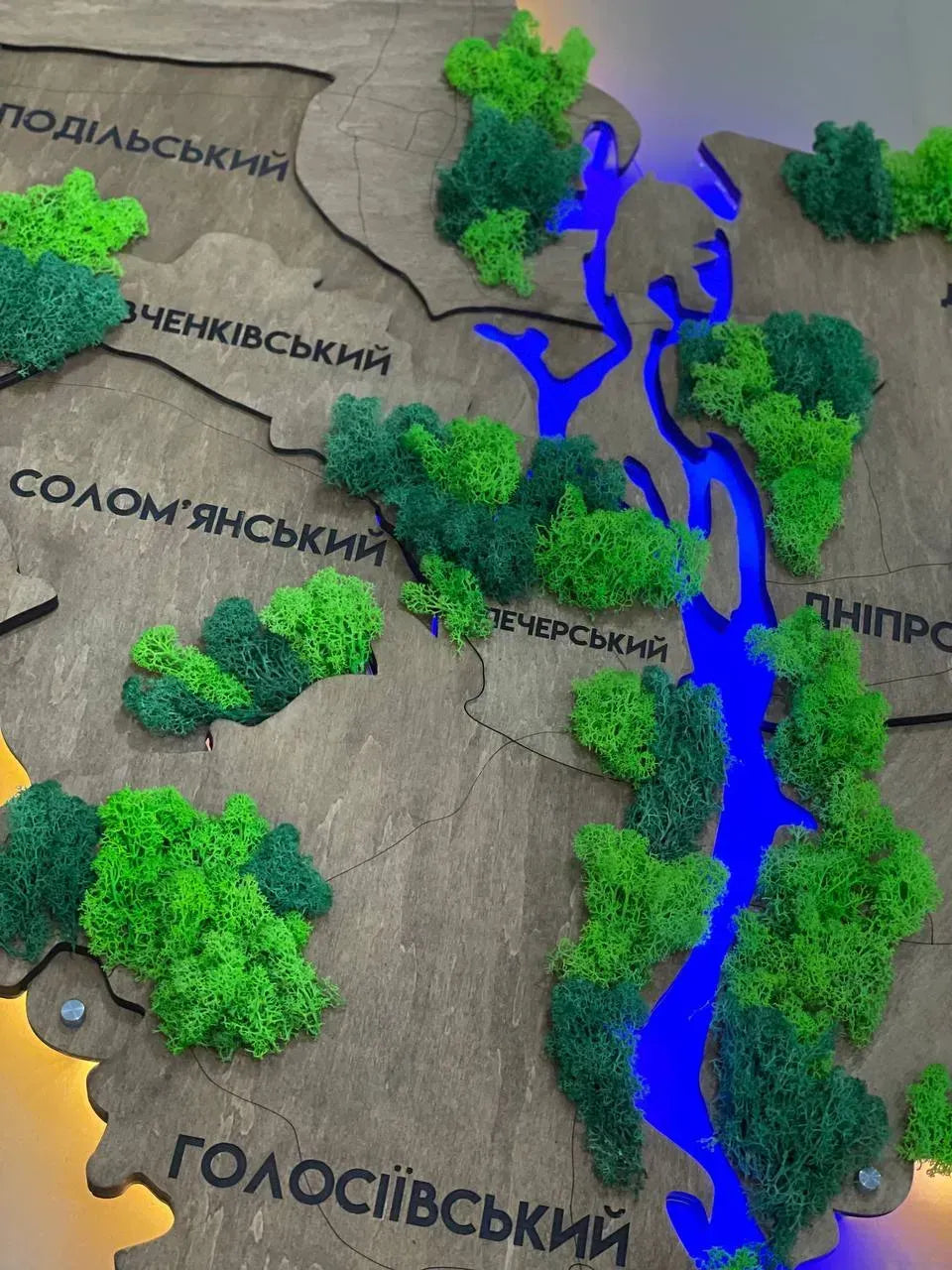 Багатошарова карта міста Київ з підсвіткою річок та мохом, колір Rosewood