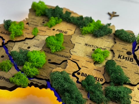 Деталізована карта України з підсвіткою річок та по контуру і мохом колір Light tree