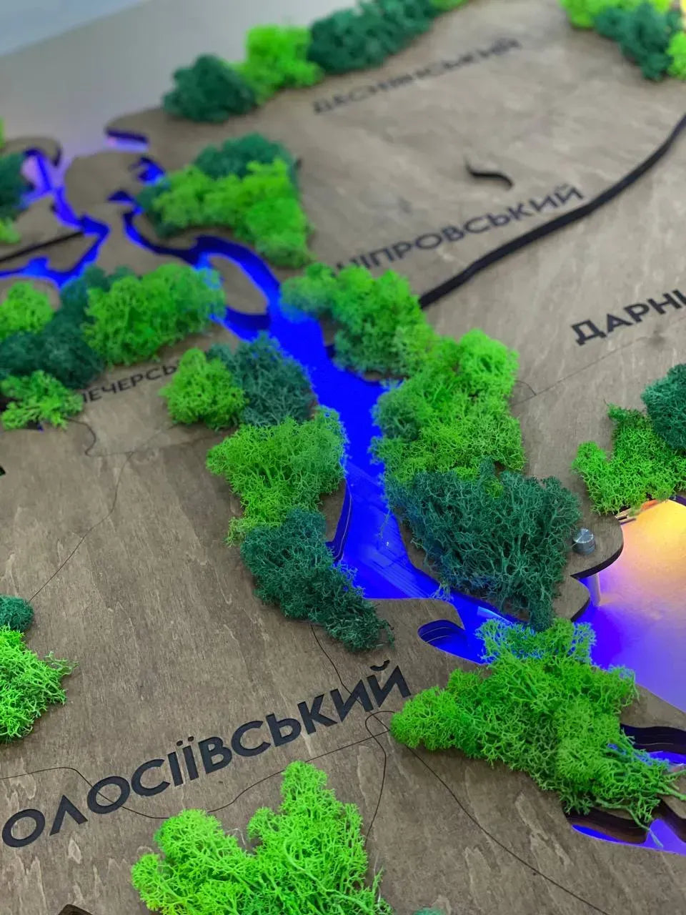 Багатошарова карта міста Київ з підсвіткою річок та мохом, колір Rosewood