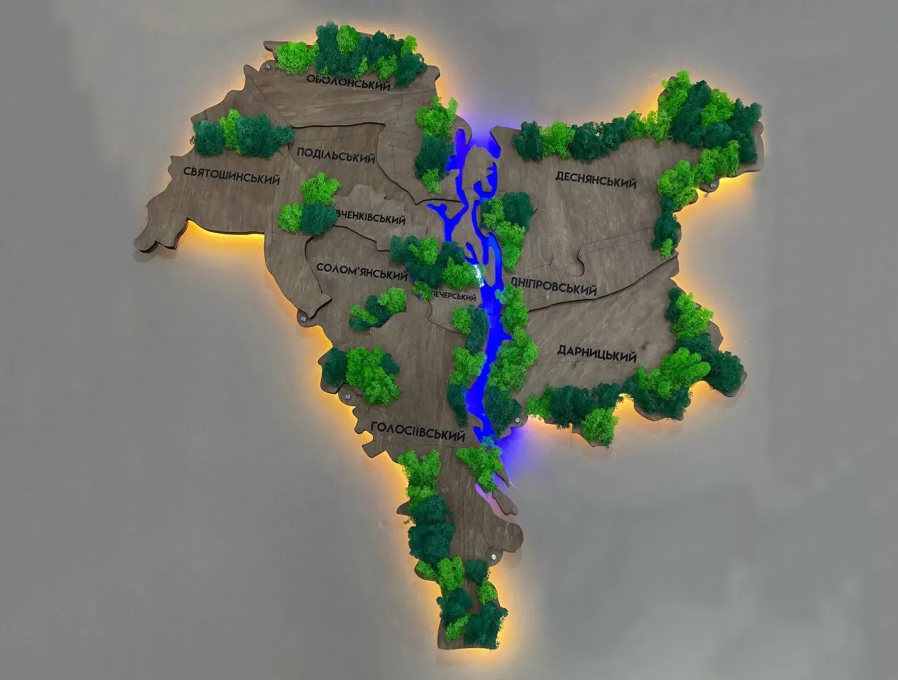 Багатошарова карта міста Київ з підсвіткою річок та мохом, колір Rosewood