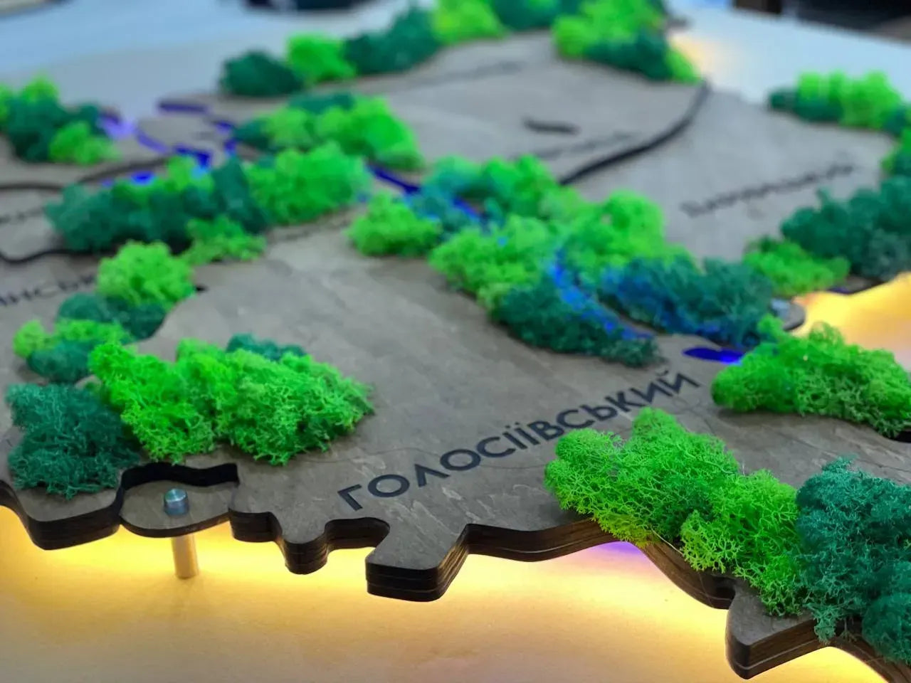 Багатошарова карта міста Київ з підсвіткою річок та мохом, колір Rosewood