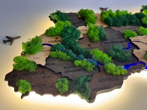 Деталізована багатошарова карта України з підсвіткою річок та по контуру і мохом колір Brut