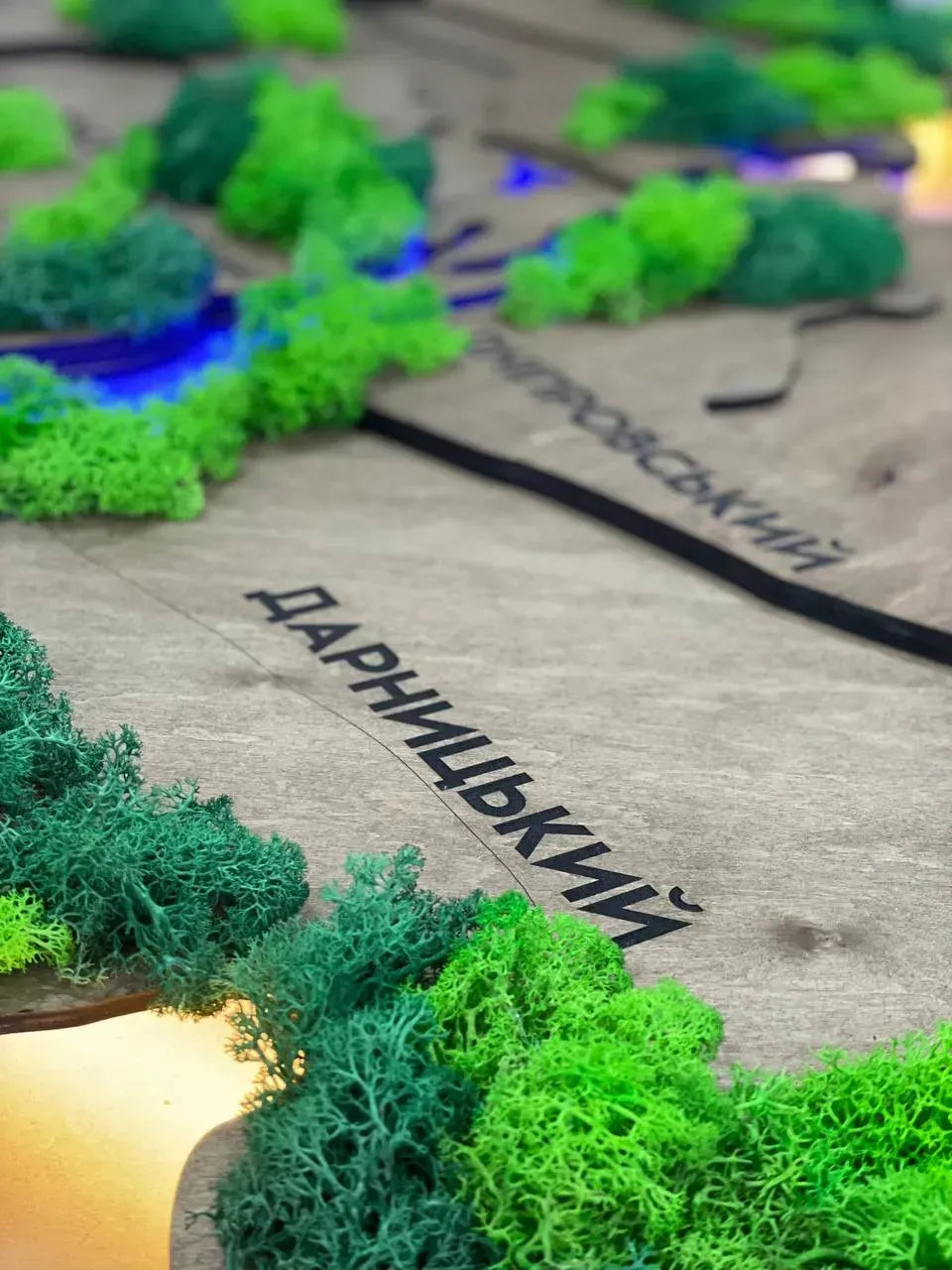 Багатошарова карта міста Київ з підсвіткою річок та мохом, колір Rosewood