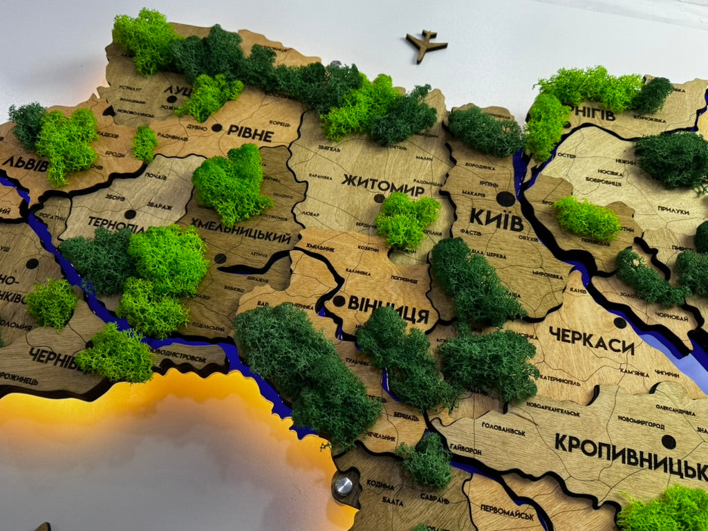 Деталізована карта України з підсвіткою річок та по контуру і мохом колір Light tree