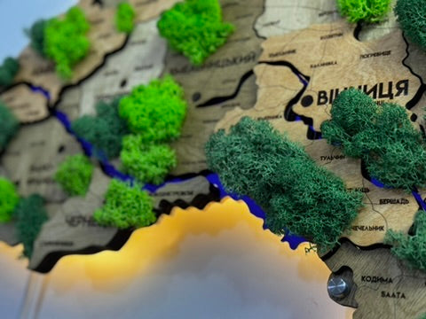Деталізована карта України з підсвіткою річок та по контуру і мохом колір Light tree