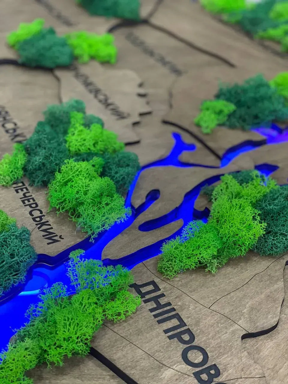 Багатошарова карта міста Київ з підсвіткою річок та мохом, колір Rosewood