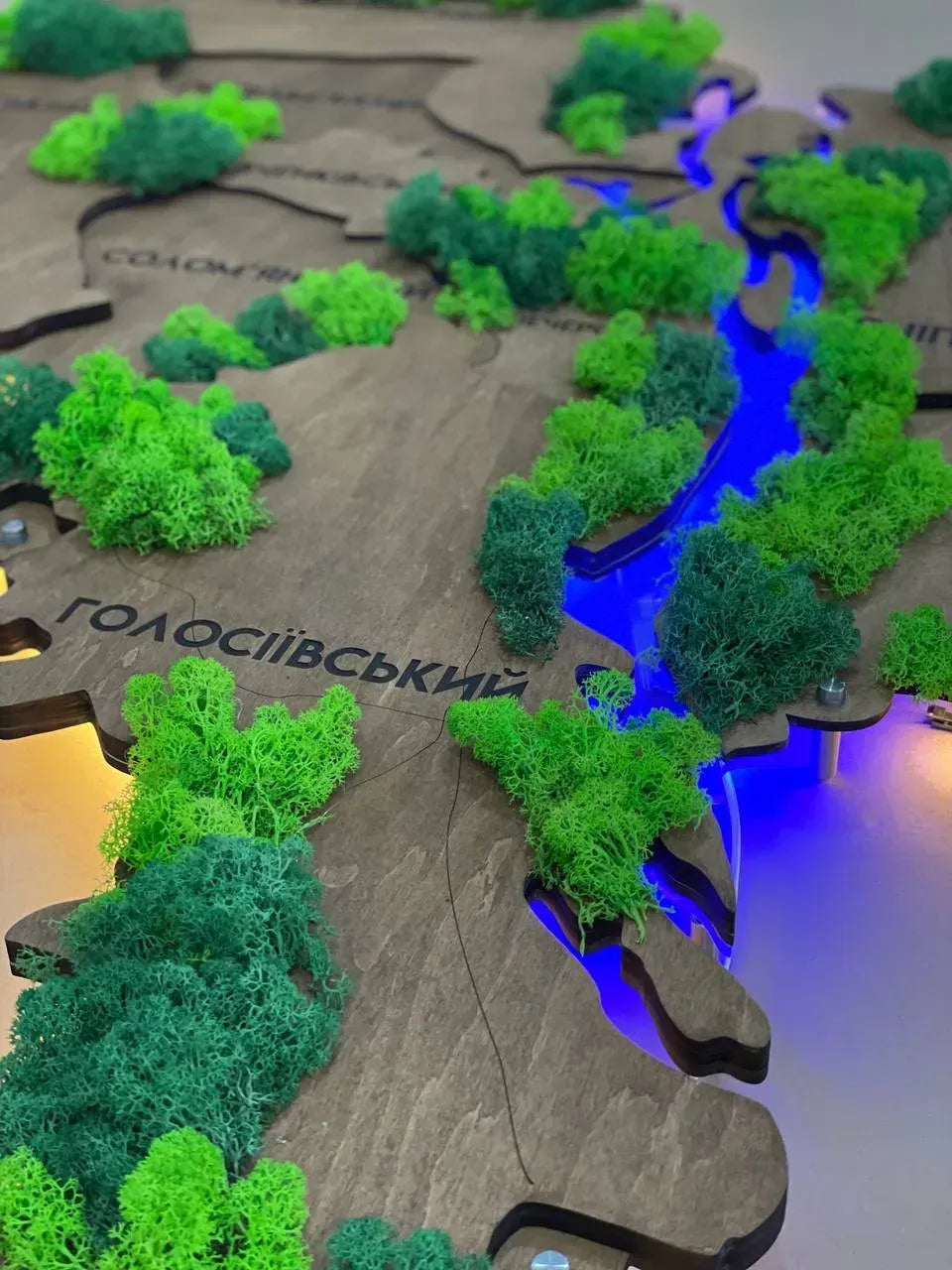 Багатошарова карта міста Київ з підсвіткою річок та мохом, колір Rosewood