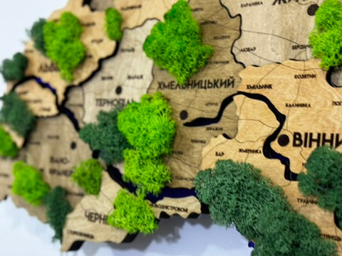 Деталізована карта України з підсвіткою річок та по контуру і мохом колір Light tree