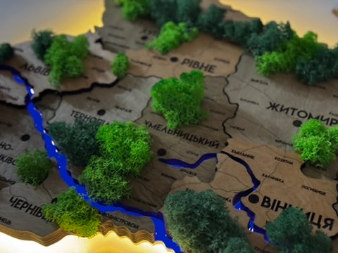 Деталізована карта України з підсвіткою річок та по контуру і мохом колір Light tree