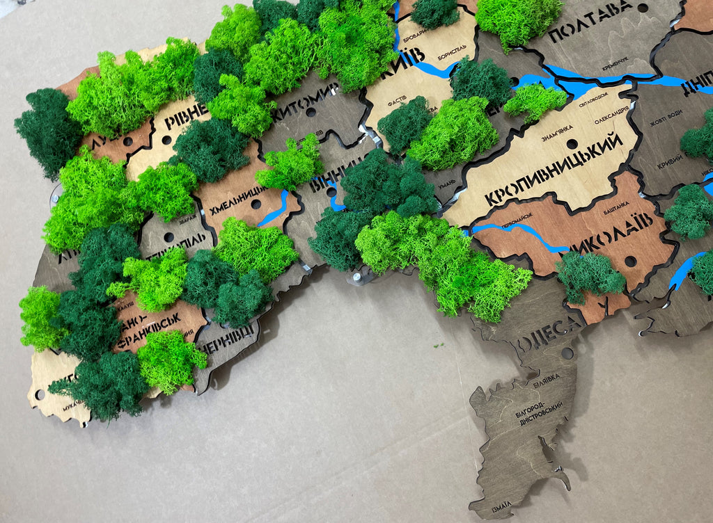 Карта України на акрилі з річками, мохом та підсвіткою між областями колір Warm