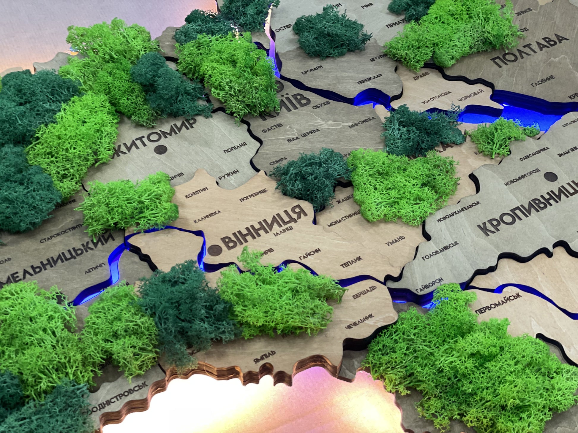 Деталізована карта України з підсвіткою річок та по контуру і мохом колір Light tree