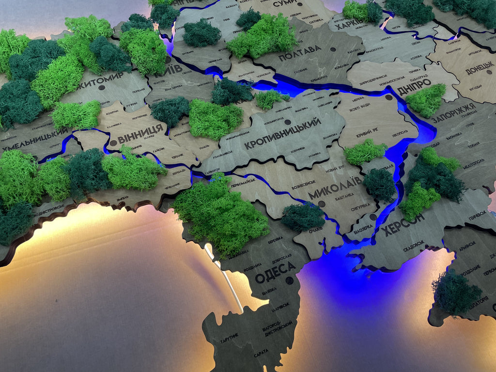 Деталізована карта України з підсвіткою річок та по контуру і мохом колір Light tree