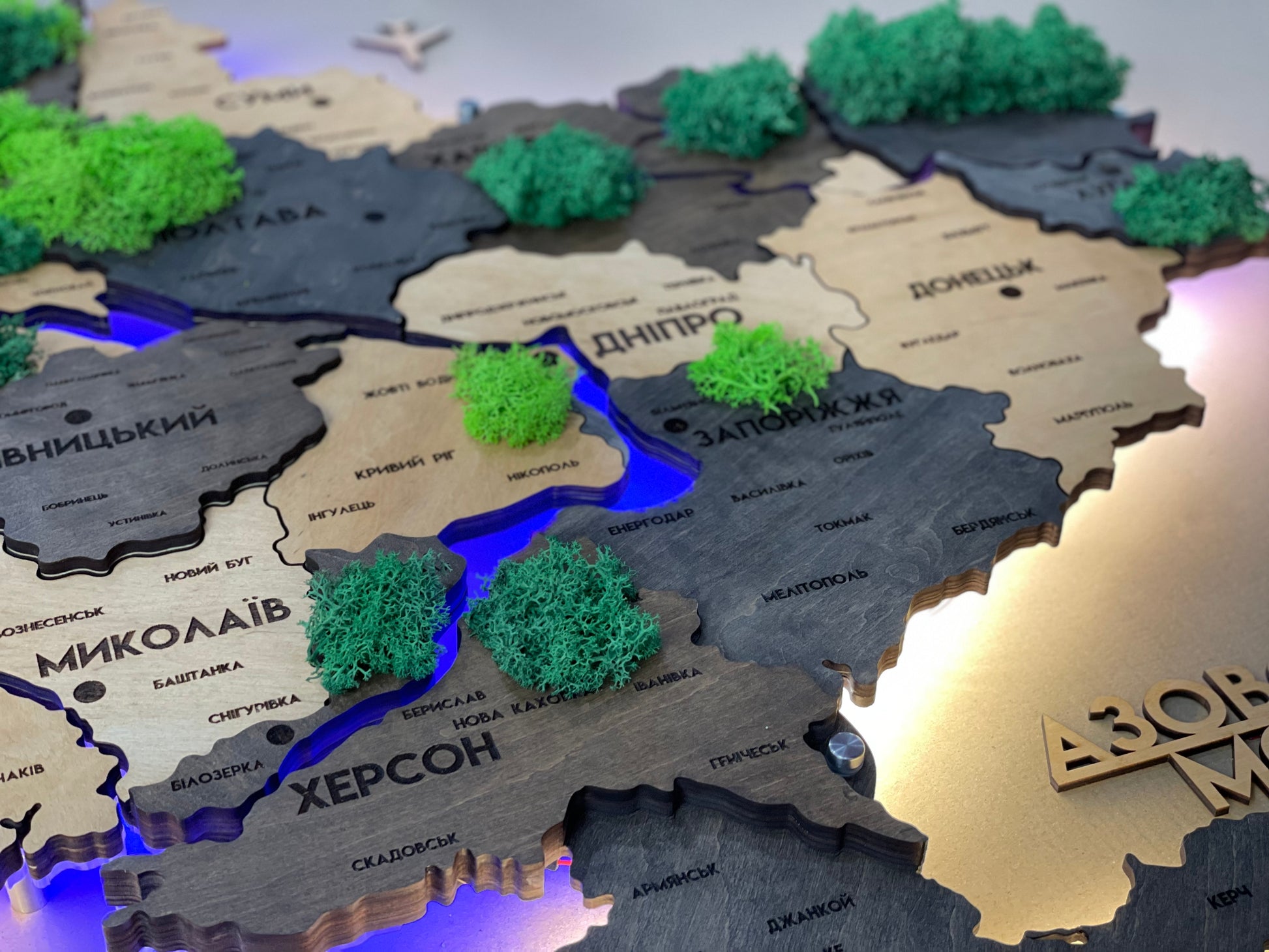 Деталізована багатошарова карта України з підсвіткою річок та по контуру і мохом колір Brut