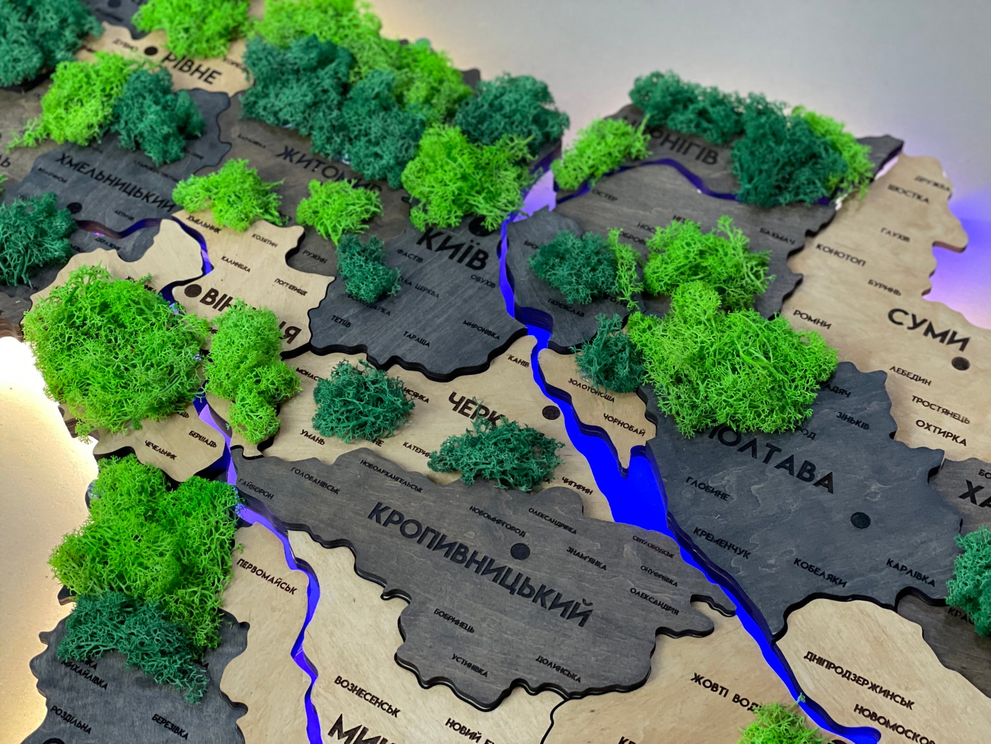 Деталізована багатошарова карта України з підсвіткою річок та по контуру і мохом колір Brut
