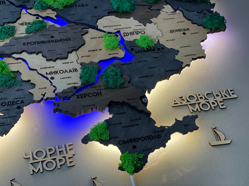 Деталізована багатошарова карта України з підсвіткою річок та по контуру і мохом колір Brut