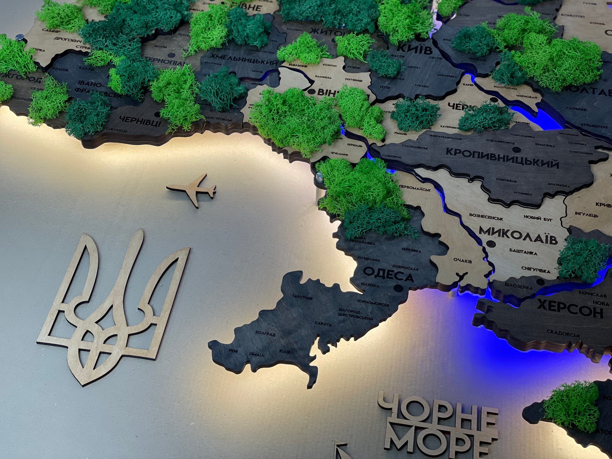 Деталізована багатошарова карта України з підсвіткою річок та по контуру і мохом колір Brut