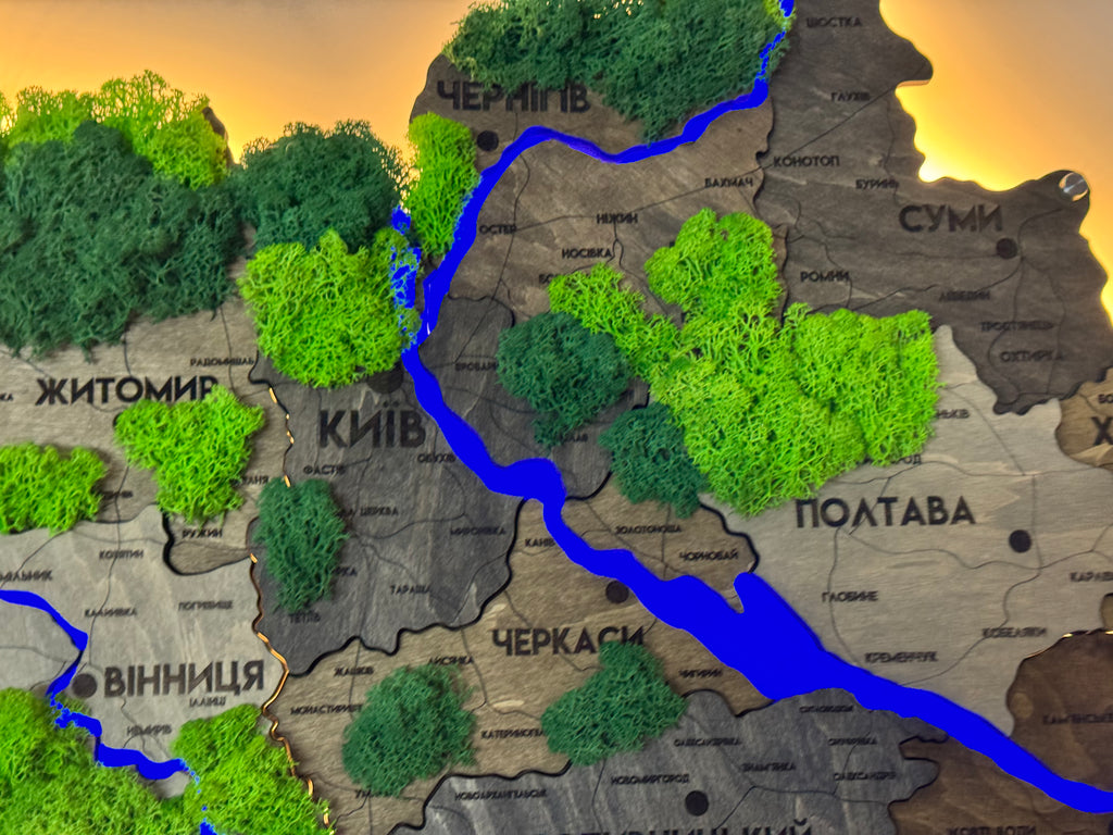 Деталізована багатошарова карта України з підсвіткою річок та по контуру і мохом колір Liberty