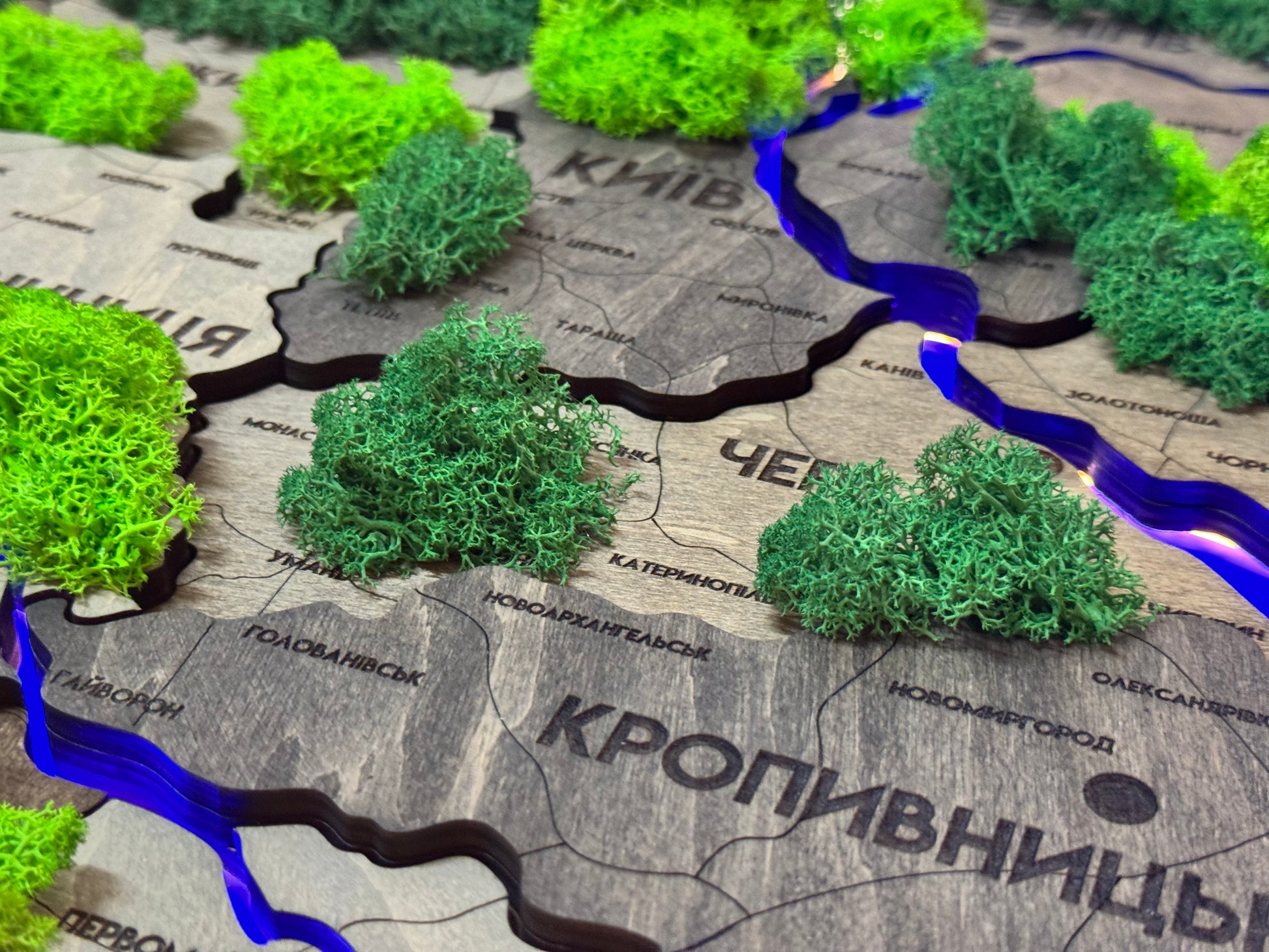 Деталізована багатошарова карта України з підсвіткою річок та по контуру і мохом колір Liberty