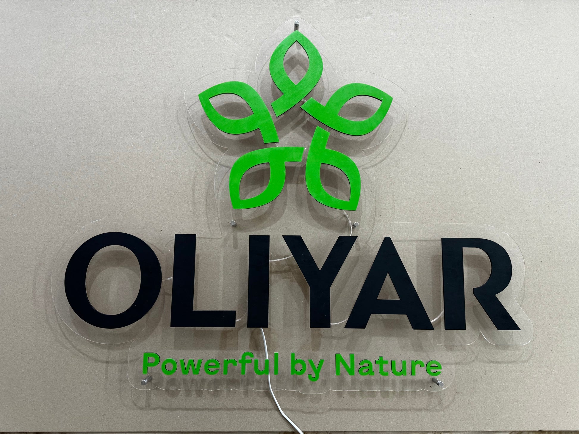 Індивідуальні настінні логотипи з LED-підсвіткою