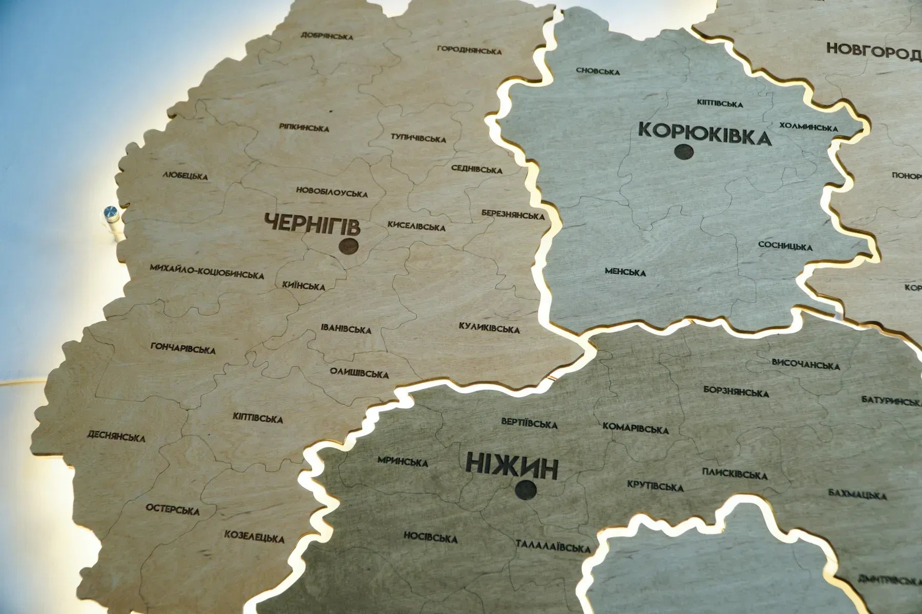 Карта Чернігівської області з підсвіткою, колір Light Tree