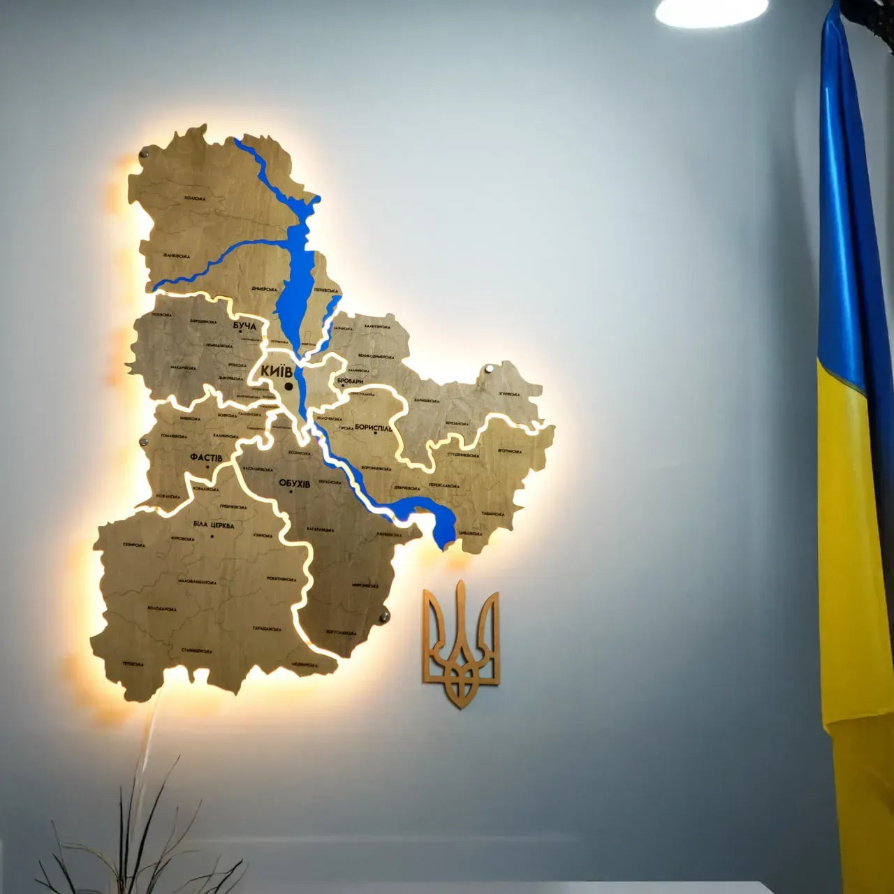 Карта Київської області на акрилі, з підсвіткою між районами, колір Light Tree