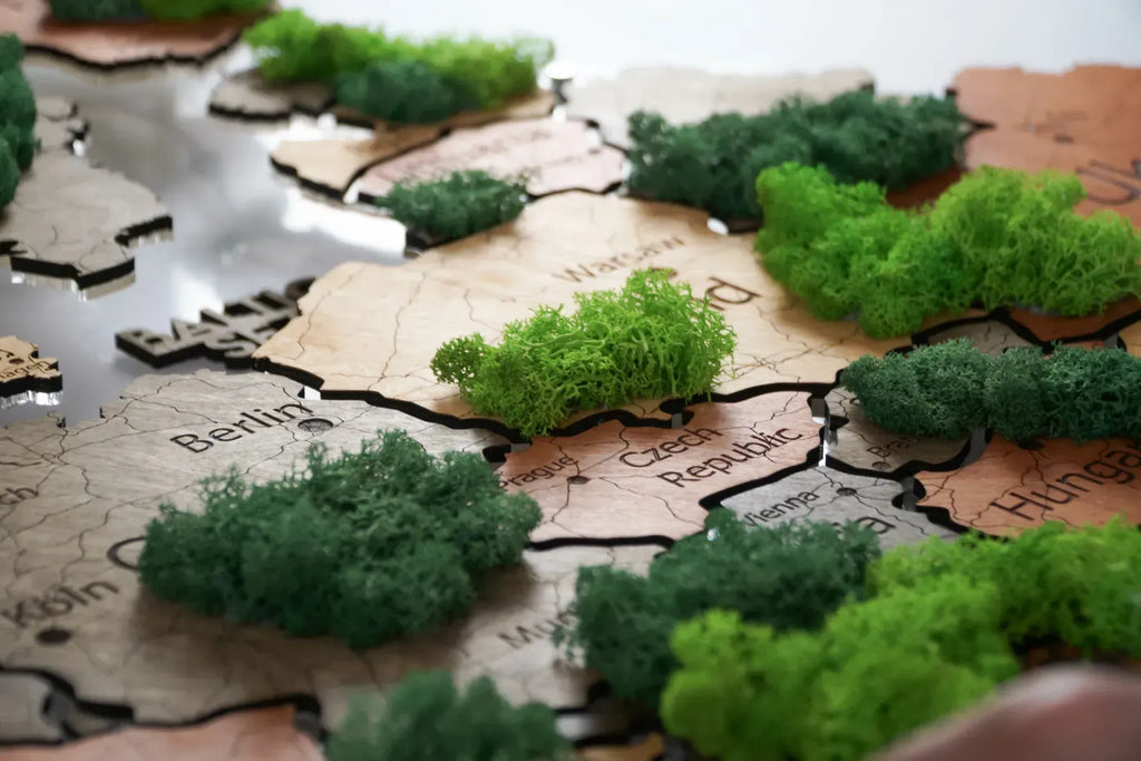 Карта Європи з мохом на акрилі з підсвіткою між країнами колір Warm