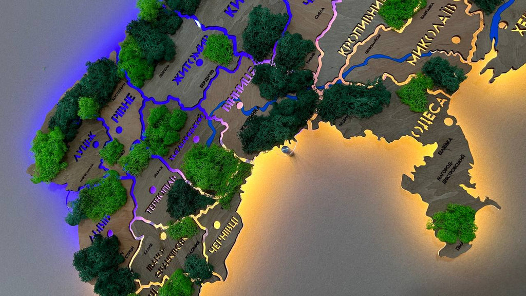 Карта України на акрилі з річками, мохом та підсвіткою між областями колір Light Tree