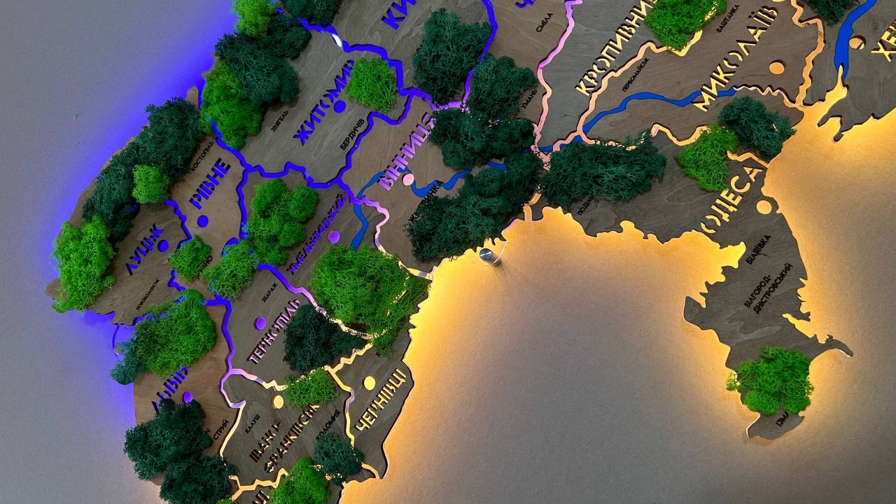 Карта України на акрилі з річками, мохом та підсвіткою між областями колір Light Tree